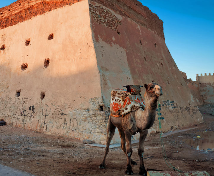 Agadir Urlaub für 162€